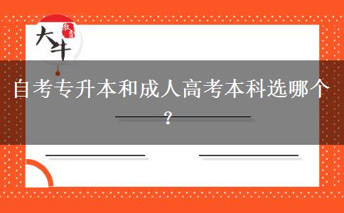 自考专升本和成人高考本科选哪个？