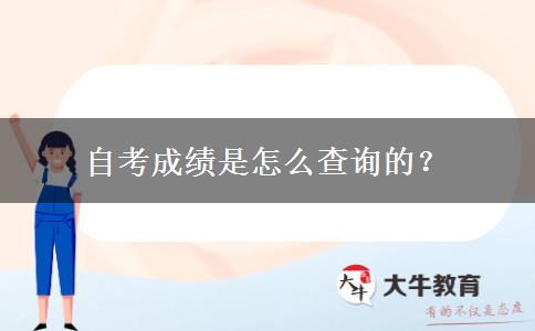 自考成绩是怎么查询的？