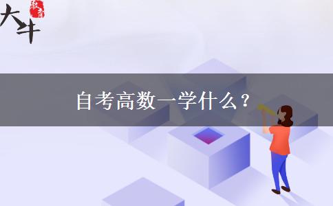 自考高数一学什么？