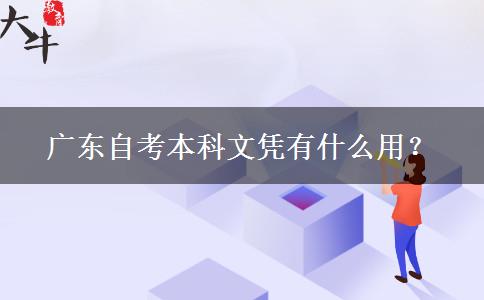 广东自考本科文凭有什么用？