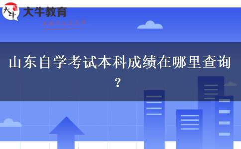 山东自学考试本科成绩在哪里查询？