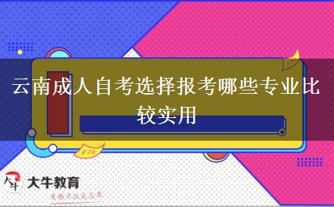 云南成人自考选择报考哪些专业比较实用