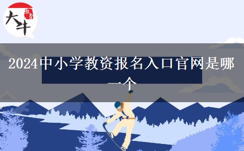 2024中小学教资报名入口官网是哪一个