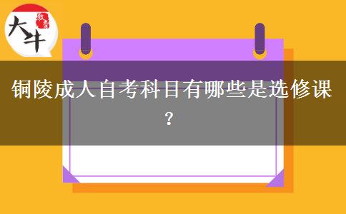 铜陵成人自考科目有哪些是选修课？