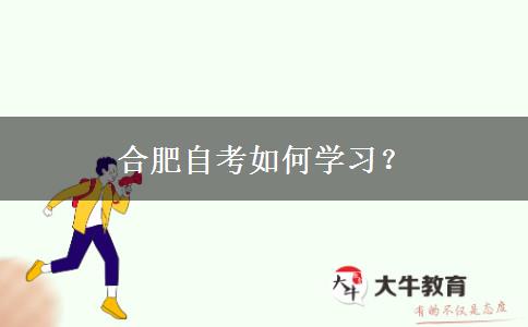 合肥自考如何学习？