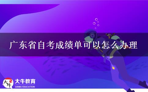 广东省自考成绩单可以怎么办理