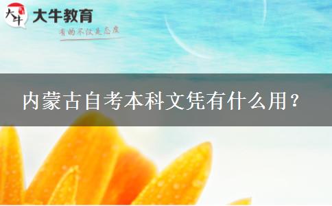 内蒙古自考本科文凭有什么用？