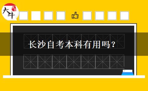 长沙自考本科有用吗？