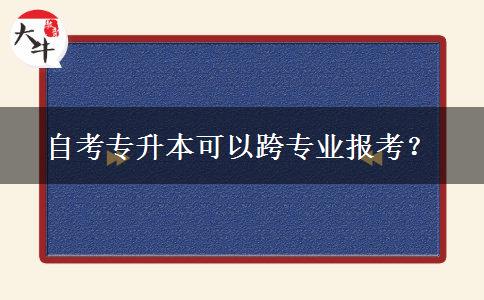 自考专升本可以跨专业报考？