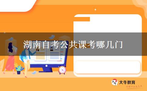 湖南自考公共课考哪几门