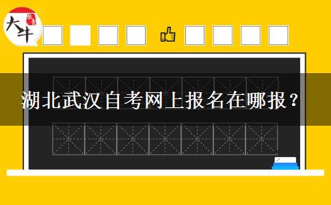 湖北武汉自考网上报名在哪报？