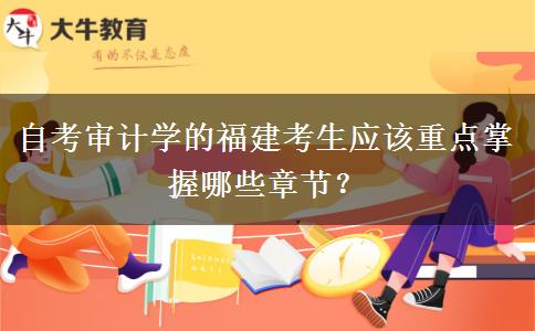 自考审计学的福建考生应该重点掌握哪些章节？