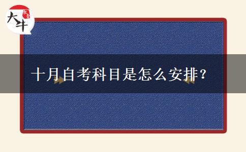 十月自考科目是怎么安排？