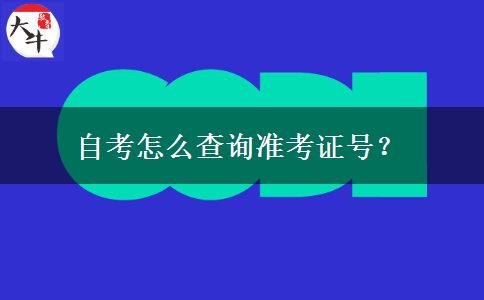 自考怎么查询准考证号？