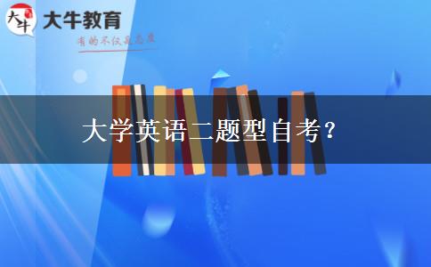 大学英语二题型自考？