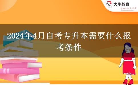 2024年4月自考专升本需要什么报考条件