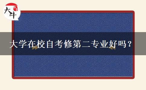 大学在校自考修第二专业好吗？