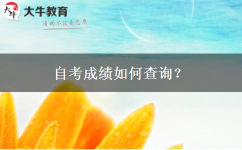 自考成绩如何查询？