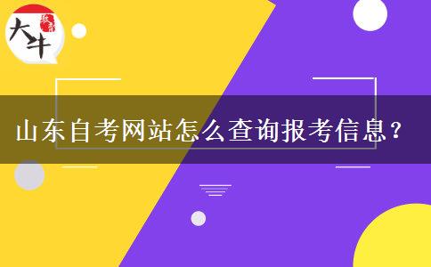 山东自考网站怎么查询报考信息？