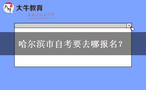 哈尔滨市自考要去哪报名？