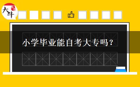 小学毕业能自考大专吗？