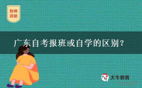 广东自考报班或自学的区别？