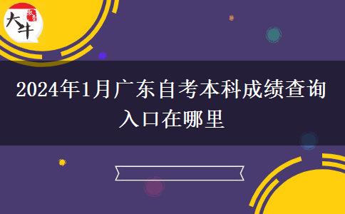 2024年1月广东自考本科成绩查询入口在哪里