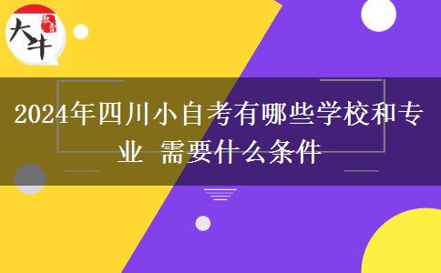 2024年四川小自考有哪些学校和专业 需要什么条件