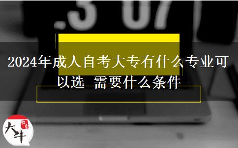 2024年成人自考大专有什么专业可以选 需要什么条件