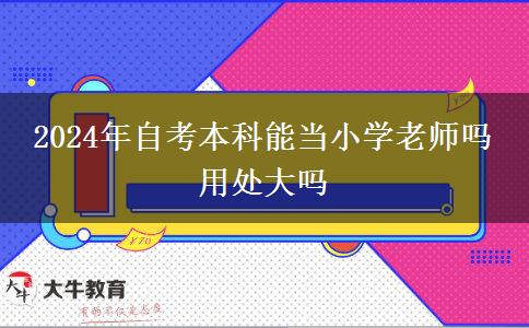 2024年自考本科能当小学老师吗 用处大吗