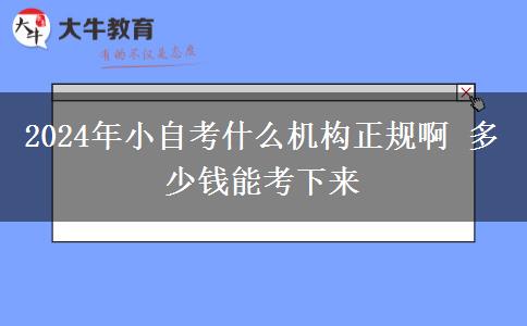 2024年小自考什么机构正规啊 多少钱能考下来