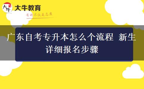 广东自考专升本怎么个流程 新生详细报名步骤