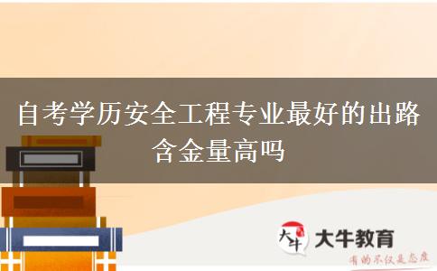 自考学历安全工程专业最好的出路 含金量高吗