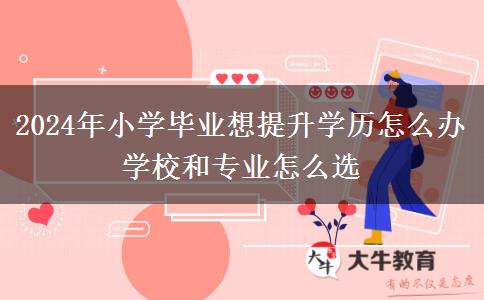 2024年小学毕业想提升学历怎么办 学校和专业怎么选