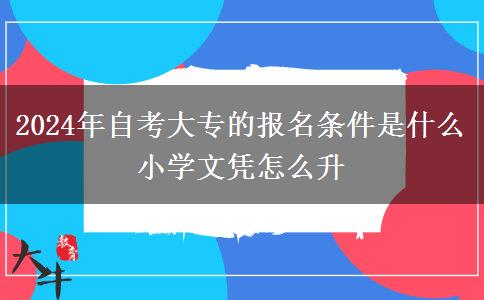 2024年自考大专的报名条件是什么 小学文凭怎么升