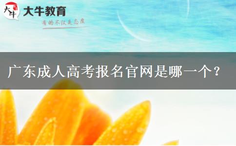 广东成人高考报名官网是哪一个？