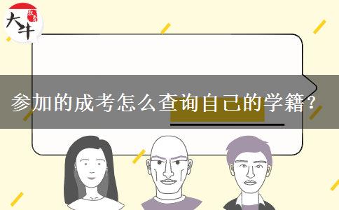 参加的成考怎么查询自己的学籍？