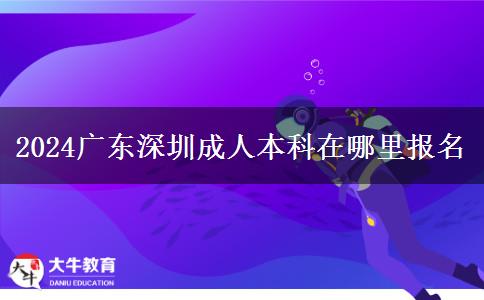 2024广东深圳成人本科在哪里报名