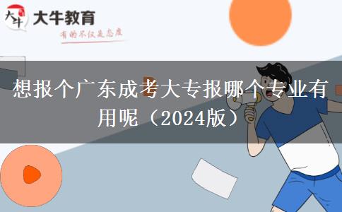 想报个广东成考大专报哪个专业有用呢（2024版）