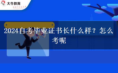 2024自考毕业证书长什么样？怎么考呢