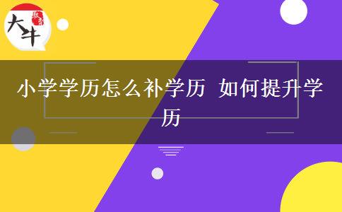 小学学历怎么补学历 如何提升学历