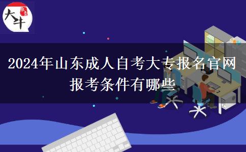 2024年山东成人自考大专报名官网 报考条件有哪些