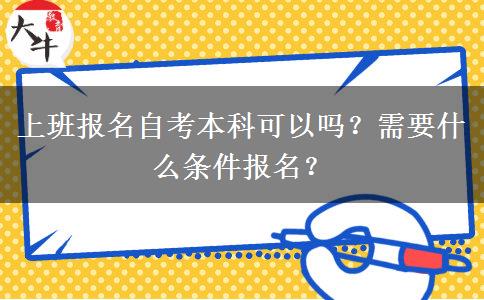 上班报名自考本科可以吗？需要什么条件报名？