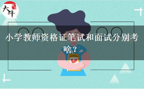 小学教师资格证笔试和面试分别考啥？