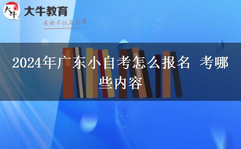 2024年广东小自考怎么报名 考哪些内容