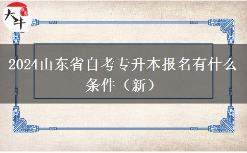 2024山东省自考专升本报名有什么条件（新）