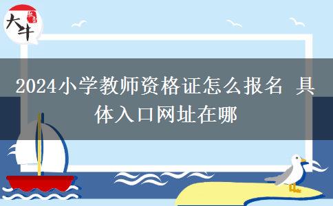 2024小学教师资格证怎么报名 具体入口网址在哪