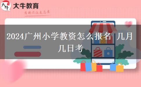 2024广州小学教资怎么报名 几月几日考