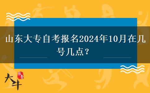 山东大专自考报名2024年10月在几号几点？