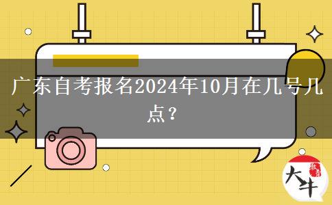 广东自考报名2024年10月在几号几点？